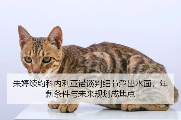 朱婷续约科内利亚诺谈判细节浮出水面，年薪条件与未来规划成焦点